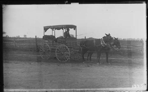 Horses and carriage