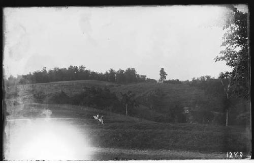 Grain fields near Serpent mound