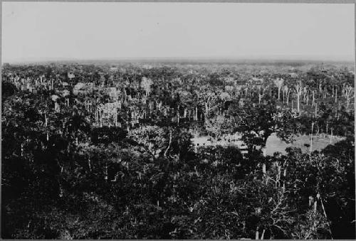 Looking East from Upper Story of Structure A-XVIII