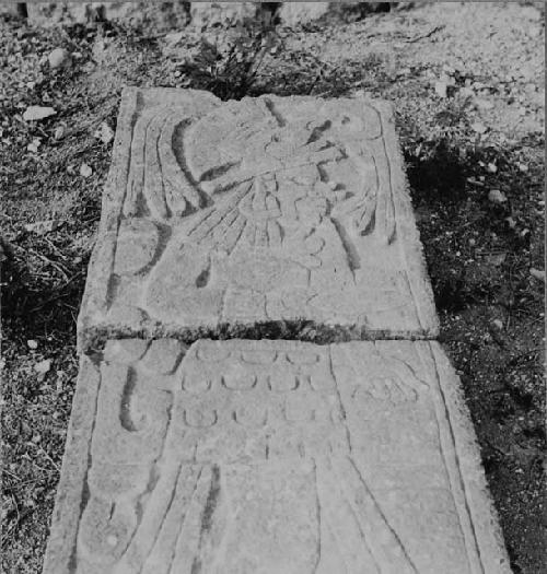 Sculptured panel south of Caracol