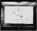 Plan of effigy mounds