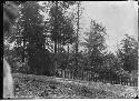 Picnic grounds at Southeastern corner of park