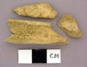 Bone, unidentified bone fragments
