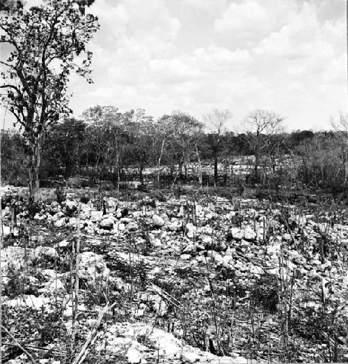 Rubble left from colonial building