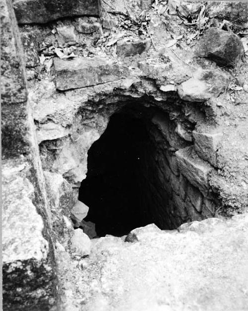 Tunnel dug to expose stairs, Ball Court 1; East platform flanking east bench