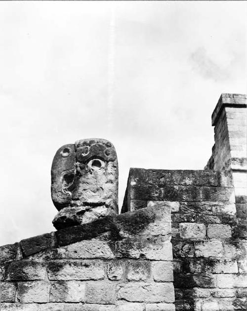 Macaw head as replaced in ballcourt 3