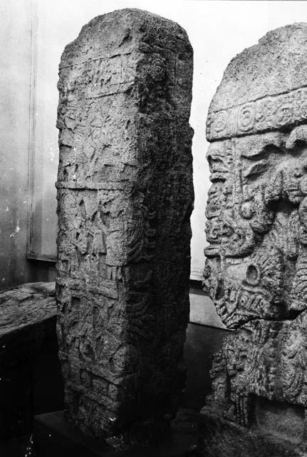 Stela 16 in Campeche Museum with Stela 9 in foreground