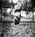 Sculptured stone human figure on vertical pedestal