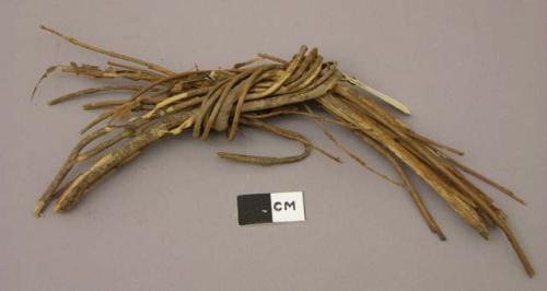 Knotted vegetable material - for identification