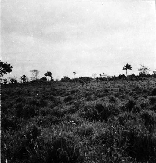 Mounds made of earth, north of Arroyo Cajete