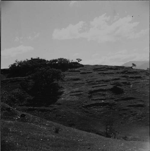 House platforms on slopes of Group H hill at Chuitinamit