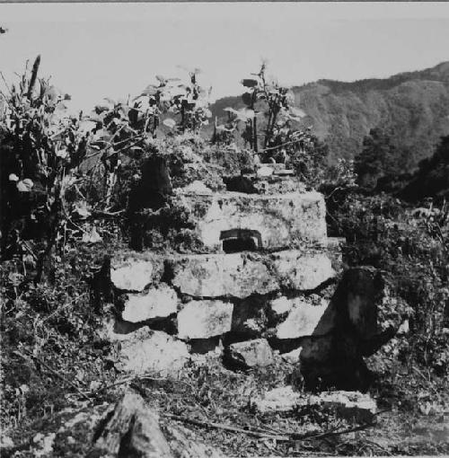 Vent on window in north wall of Structure 7