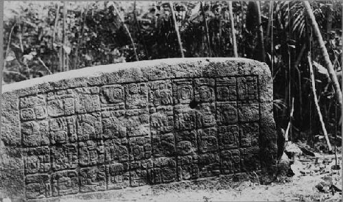 Stela 8; Back