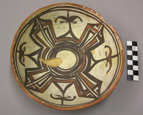 Bowl, polacca polychrome style c. int: linear design; ext: slipped, no design. 5