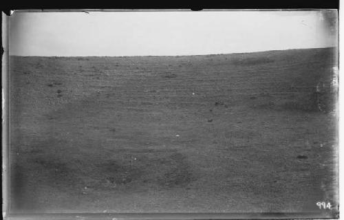 Terraces near Great Swamp