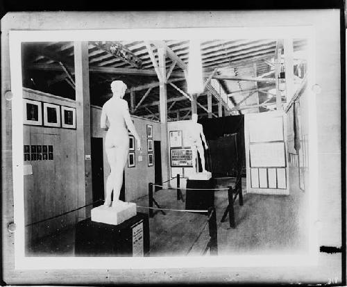 Chicago World's Fair 1893: Dr. Sargent's composite statues.  Development Room, World's Columbian Exposition of 1893