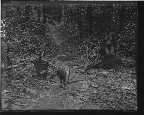 Forest path near Efulon