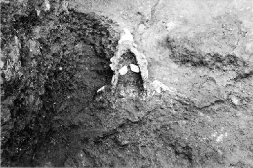 Jade incrusted mask or headdress, Mound E-III-3; Tomb 2; Southeast corner