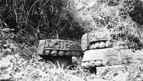 Sculptured fragments in bush