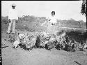 Man and woman with chickens