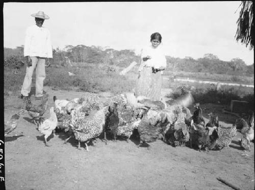 Man and woman with chickens