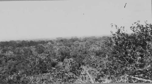 View from Temple 1; Looking North-West