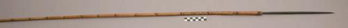 Bamboo arrow ("pom") with untanged hardwood point.  Used for pig and +