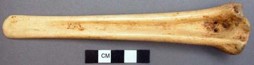 Bone gouge (chisel)