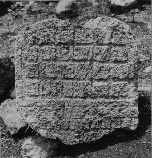 Fragments of Stela 2 found south of structure Q81