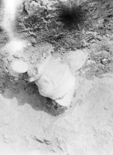 Excavation 3-31, grave 3A showing pottery head exposed in bank