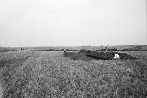 Looking north - general, trenches 2, 1, 5 - foreground to back