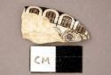 Ceramic, whiteware, brown transfer print sherd