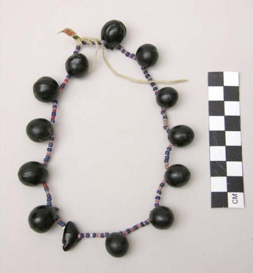 Seed necklace