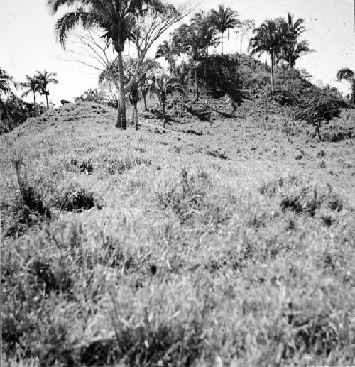 Mound group near hamlet of Juavez . Main mound from southeast corner of court