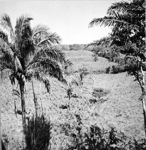 Mound group near hamlet of Juavez . View from main mound towards the east