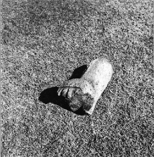 Sculptured stone cat paw with claws