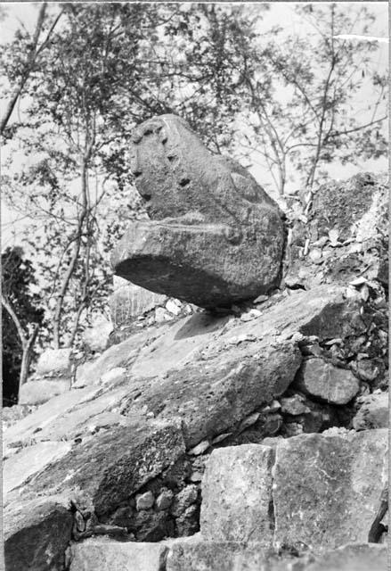 Serpent head, Str Q-82; Main stairway; South balustrade