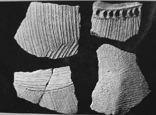 Pottery fragments of Puuc unslipped course striated jar types