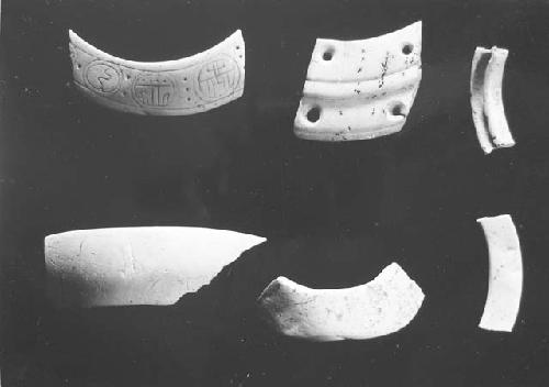 Fragments of shell "collars" H-10  53-213; 53-221; 52-103.; 53-210; 55-209; 53-2