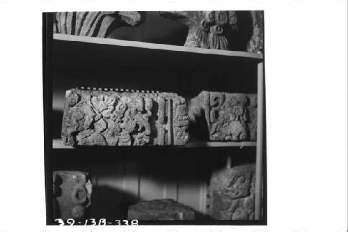 Sculptured blocks from Temple 26 in Peabody Museum