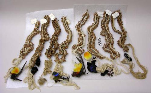 Seed necklaces, feather pendants