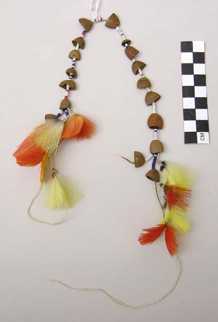Seed and feather ornament