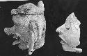 Two Mayapan effigy censer heads