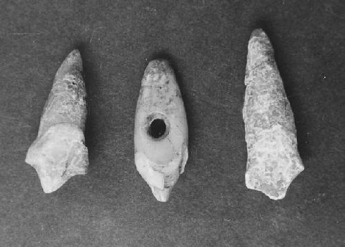 Shells:  A-508; A-110; C-30; C-49; A-502; A-189; A-170; C-49