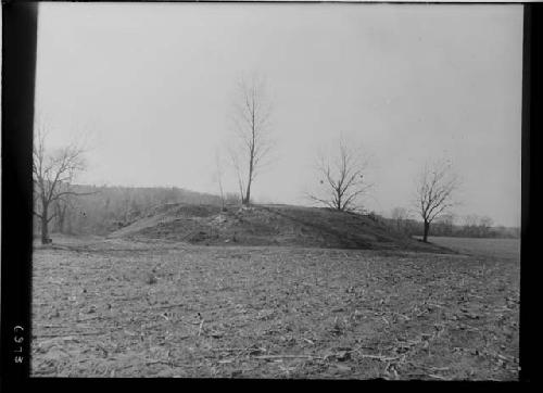 Mound C Looking South