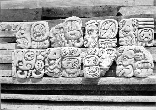 8 Stucco glyphs from Temple 18.