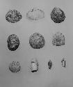 Shell ornaments. Cat. 53-33, 53-106, 53-89, 53-34, 53-66, 53-172, 53-66, 53-181