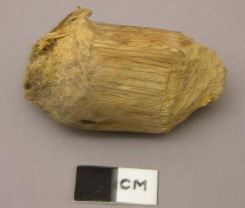 Small wooden plug showing stone axe cuts