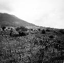 Ruins of Pompeya