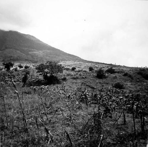 Ruins of Pompeya